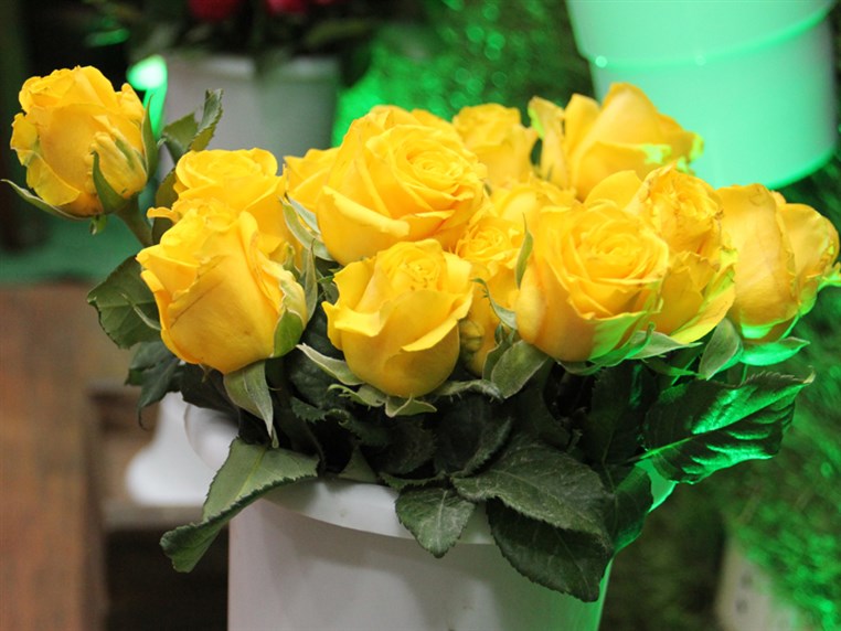 Opening of Zanbak Flower Boutique 